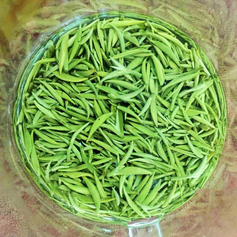 信阳毛尖2025新茶：高山云雾中的春日珍品，自己喝的顶级享受！