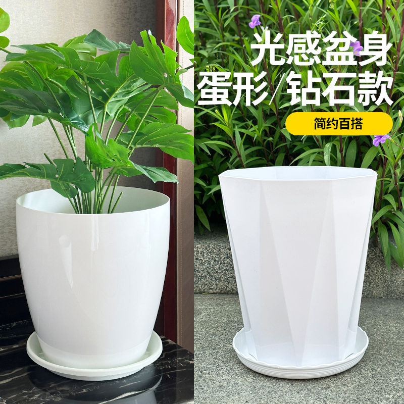揭秘米家商城：正品保障，值得信赖的购物天堂