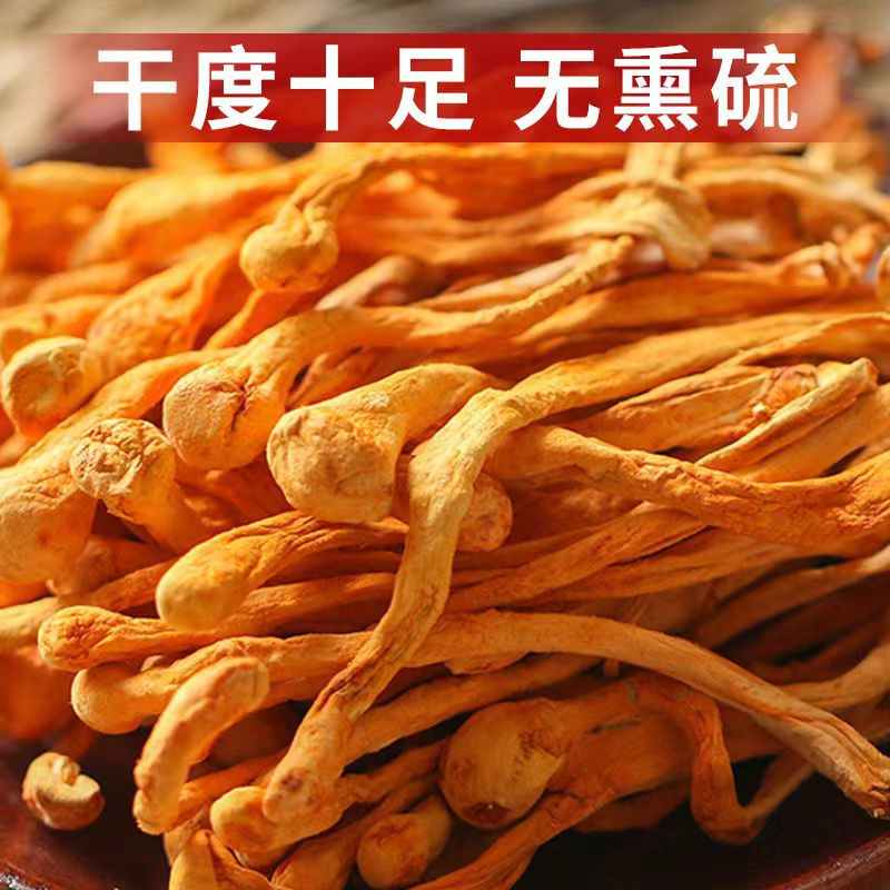 虫草花干货官方旗舰店：滋补圣品，炖出健康好滋味！
