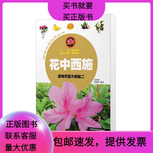 揭秘天猫商城首页的秘密！你不知道的购物天堂攻略