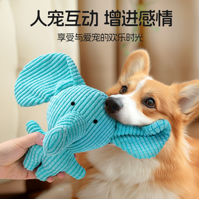 狗狗也疯狂！宜特发声玩具太上头了！中型小型犬必备解闷神器