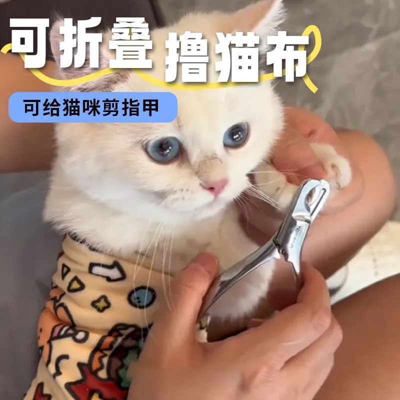齐苑泽劳保帆布手套ST-FB：保护双手的秘密武器，安全作业必备神器！