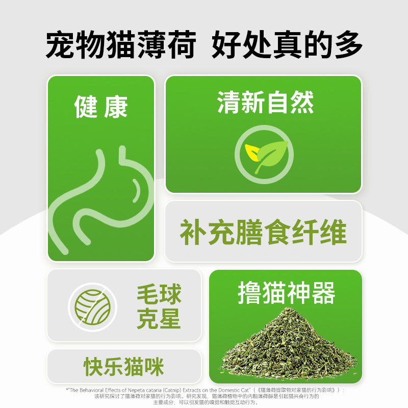 特浓猫薄荷：猫咪零食界的神奇魔药，让你家小猫一秒变迷妹！