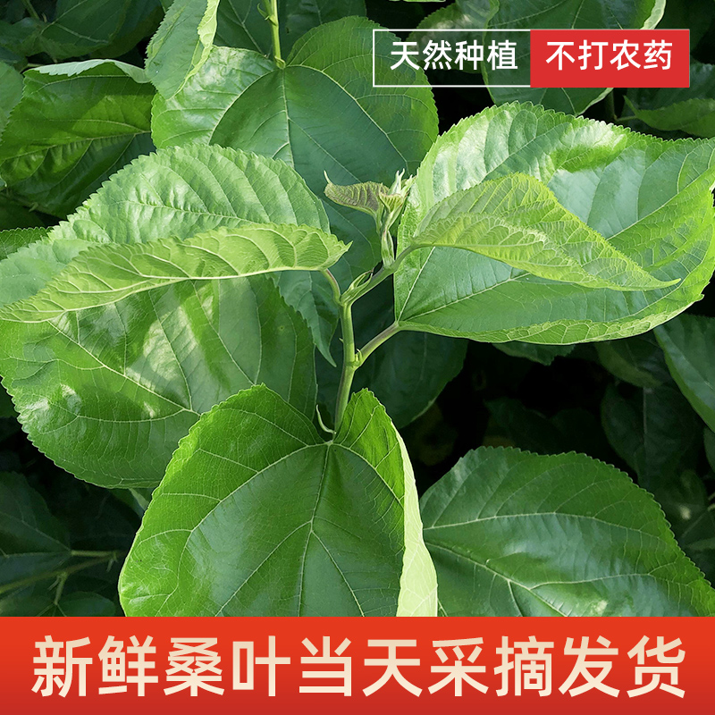 飞猪酒店商家怎么取消订单？超全攻略，让你轻松应对！