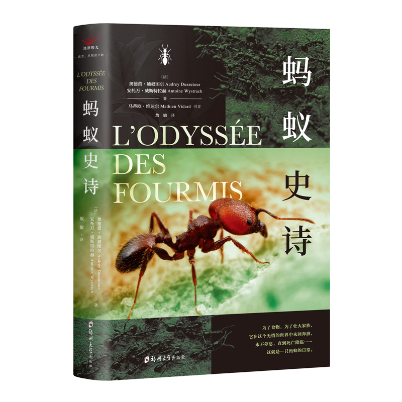 正版书籍《后的光亮:杭州飞来峰元代造像研究》：揭开历史面纱，探寻艺术瑰宝