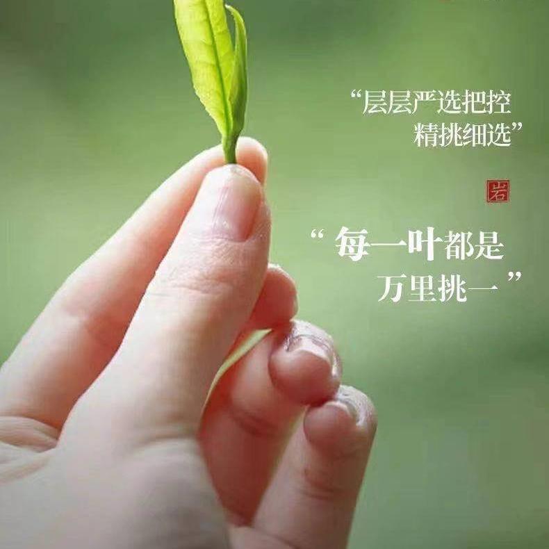 正山小种与金骏眉：茶香界的双生花，你更爱哪一种？