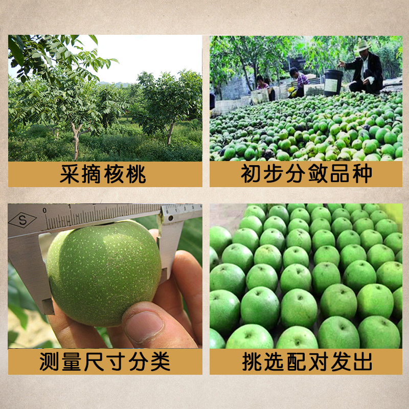 古树鸡心核桃：收藏级文玩新宠，你值得拥有！