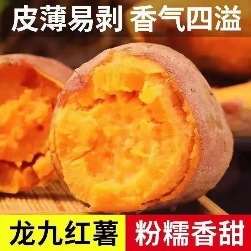 新鲜农家自种红薯：甜蜜的秋天，一口咬下满满的幸福感
