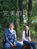 完美的日子