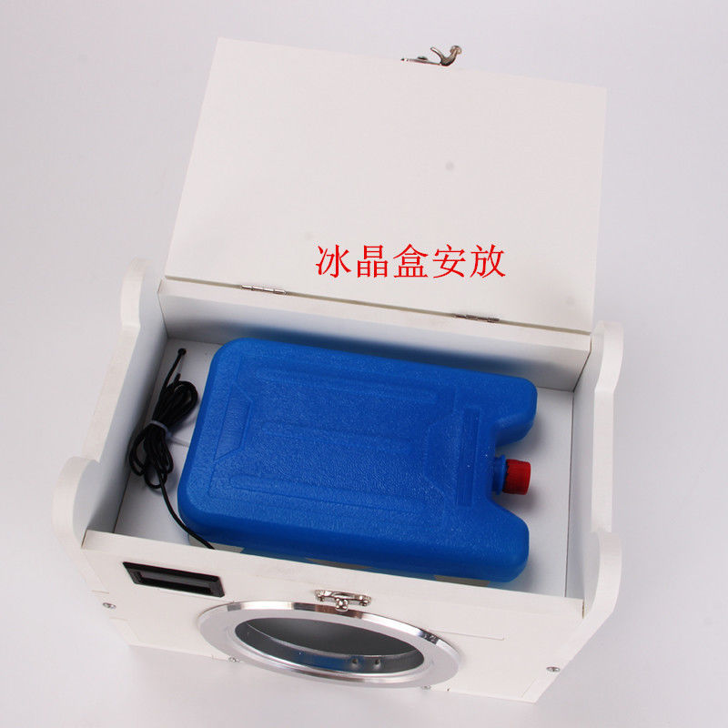 龙猫松鼠豚鼠荷兰猪冰窝屋：给宠物一个凉爽的夏天！