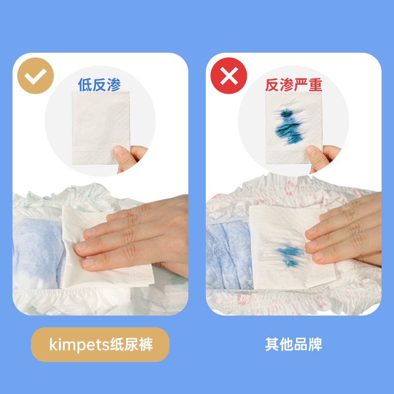 母狗狗连体生理裤：保护毛孩子，告别乱尿烦恼！