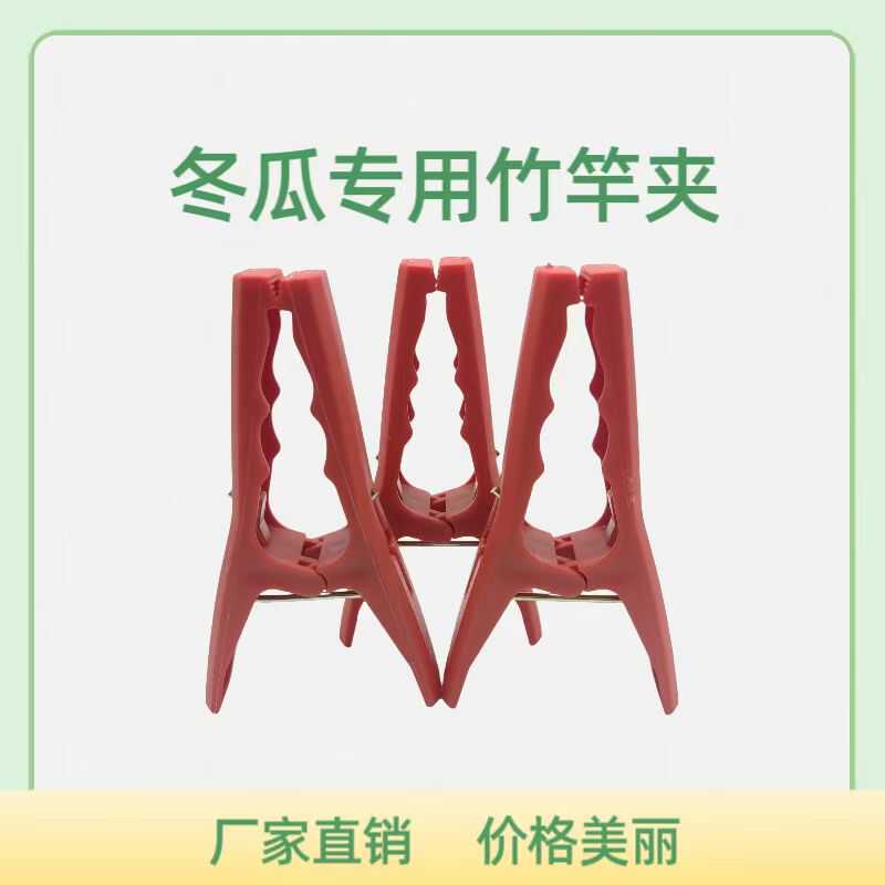 冬瓜夹子&amp;番茄黄瓜支架：轻松搞定夏季蔬菜园艺难题！