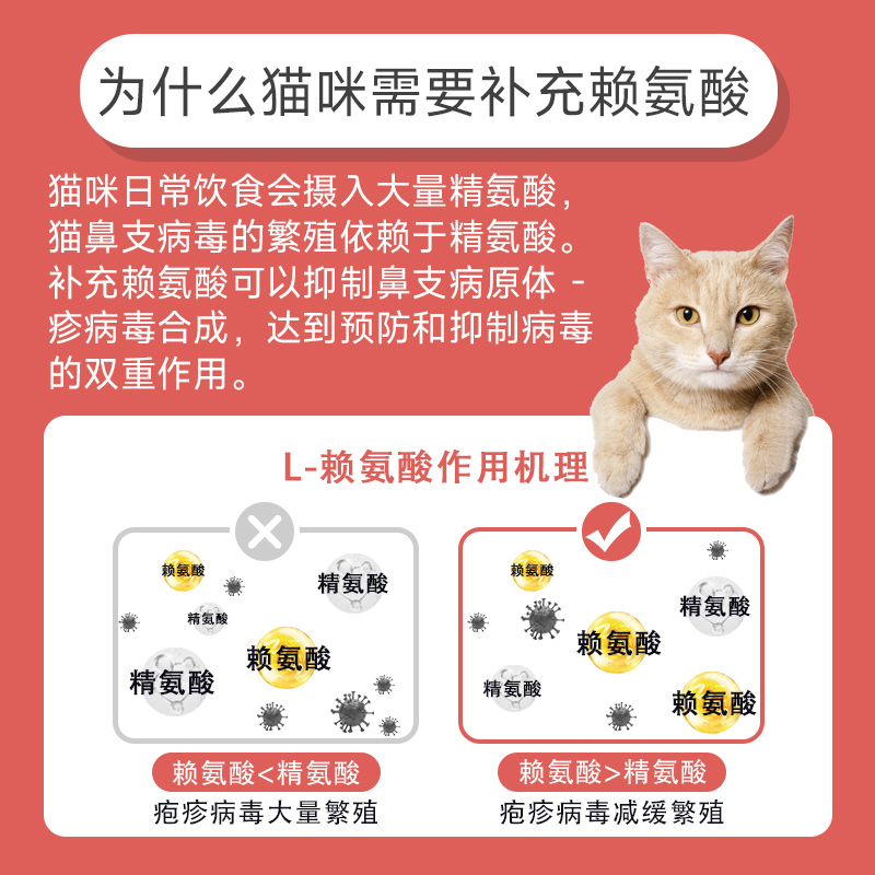 宠医推荐：赖氨酸高浓度猫用营养补充剂，告别猫咪泪痕眼泪烦恼！