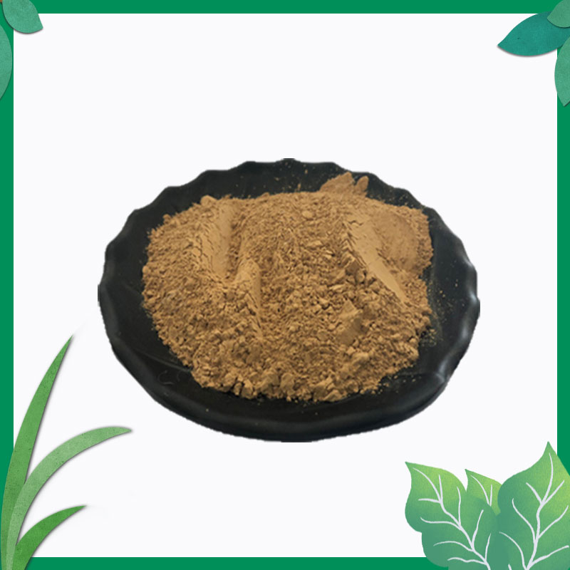 特纳草提取物30:1，质优价廉现货，你还在等什么？✨
