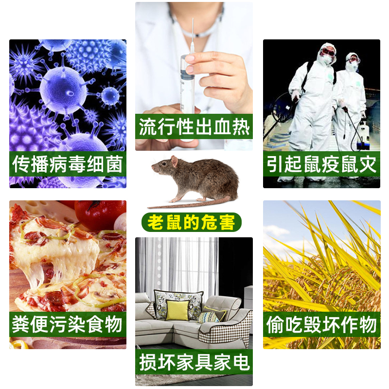 全自动捕鼠器：一窝端的抓老鼠神器，告别鼠患烦恼！