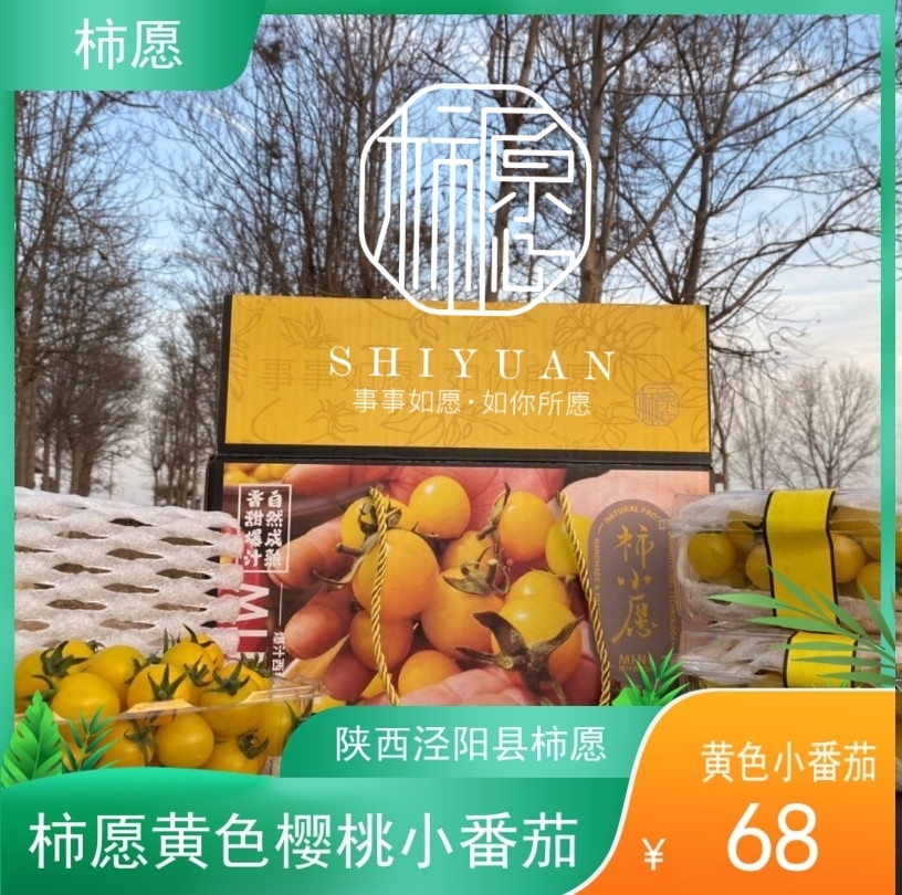 陕西泾阳普罗旺斯西红柿：自然熟甜美的孕妇友好水果，新鲜采摘即刻享用！