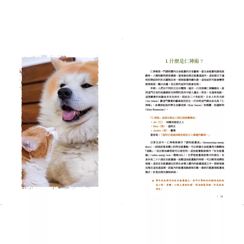 狗狗饭食教科书：如何科学喂养你的毛孩子，让它健康又快乐！