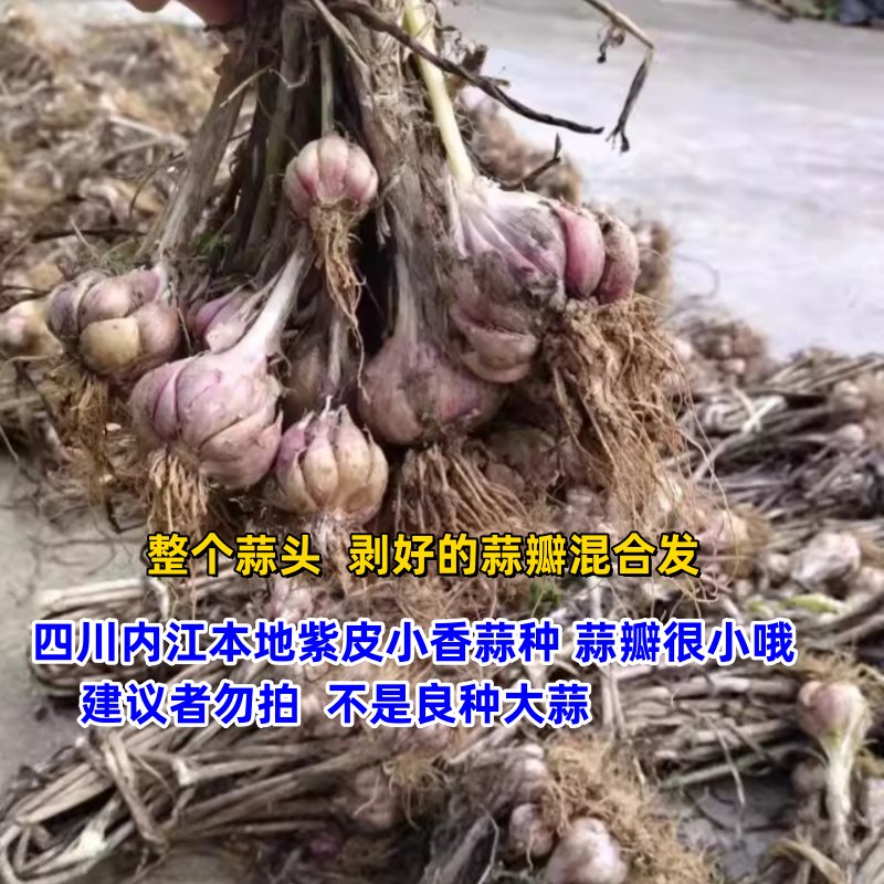 当当网热销：诹内江美《优雅指南》——重塑你的优雅之美，让魅力永不过时！