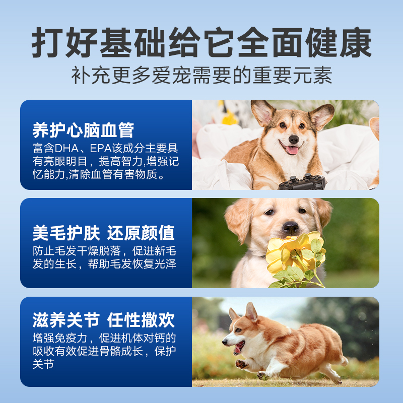 家有一兽宠物鱼油，猫咪狗狗专用DHA鱼油，猫用防掉毛犬用Omega-3，真的那么神奇吗？