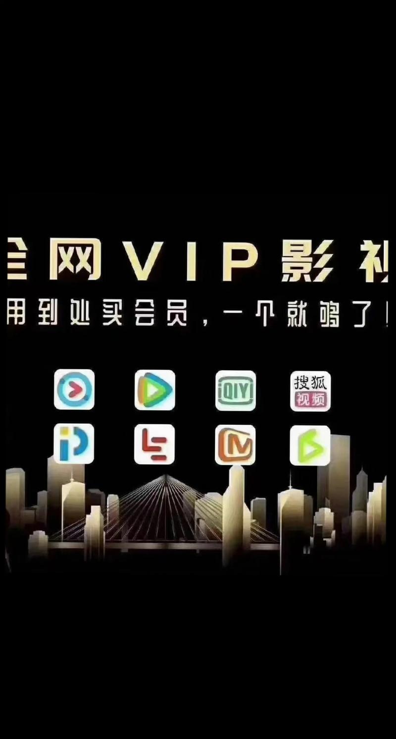 vip影视会员批发一手货源平台,一站式平台助力创业梦想