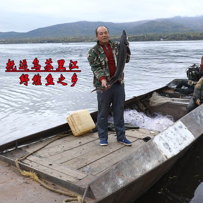 鲟鱼盛宴：黑龙江抚远特产龙鱼鳇鱼，鲜活速冻，开启味蕾新体验！✨