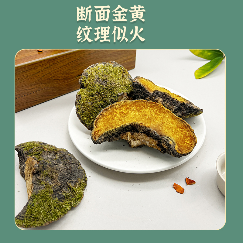 一品世家西藏野生桑树桑黄：电视同款，18g/盒的神秘力量，你值得拥有吗？