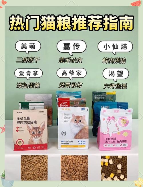 猫粮go,性价比与安全性的两层考量