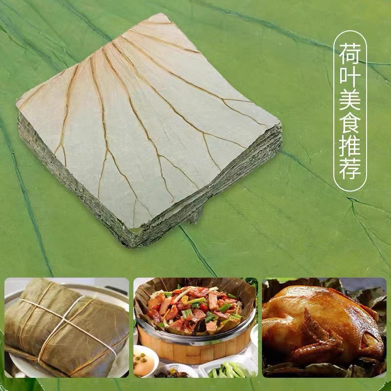 荷叶片24CM大促销，50张装让美食更美味，粽子糯米鸡必备神器