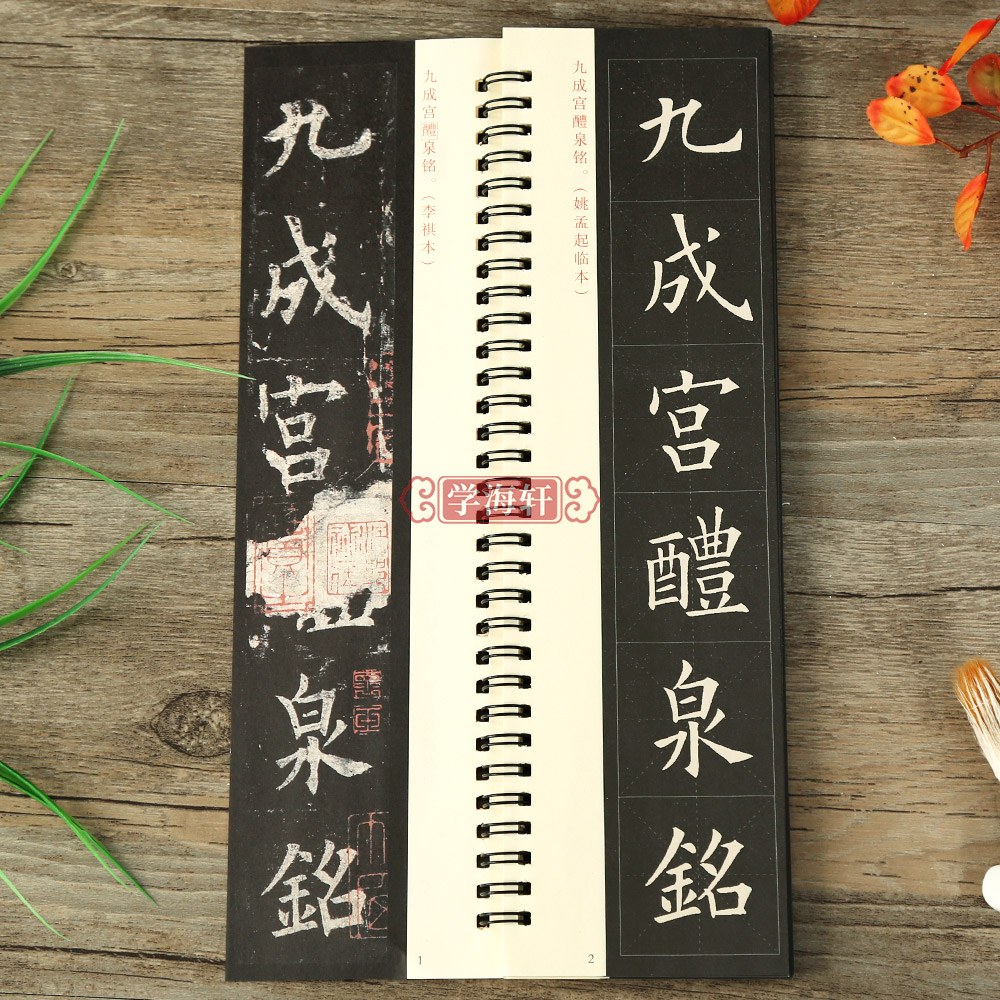 学海轩欧阳询九成宫醴泉铭字卡：书法初学者的福音，近距离临摹楷书之美！✍️