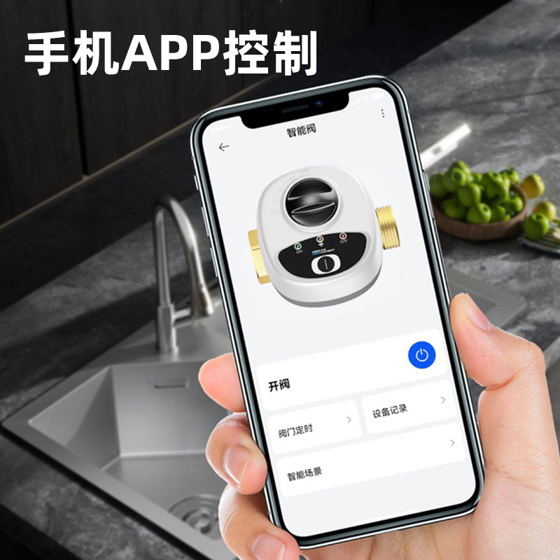 电动阀门控制器RR700-AEK-P08A：智能控制，轻松搞定工业自动化难题！