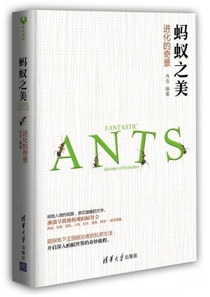 蚂蚁史诗：揭秘昆虫世界的智慧与协作奇迹