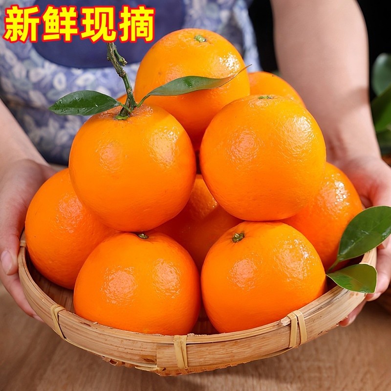 正宗湖北秭归夏橙：孕妇最爱的当季时令水果，鲜甜多汁的秘密大揭秘！