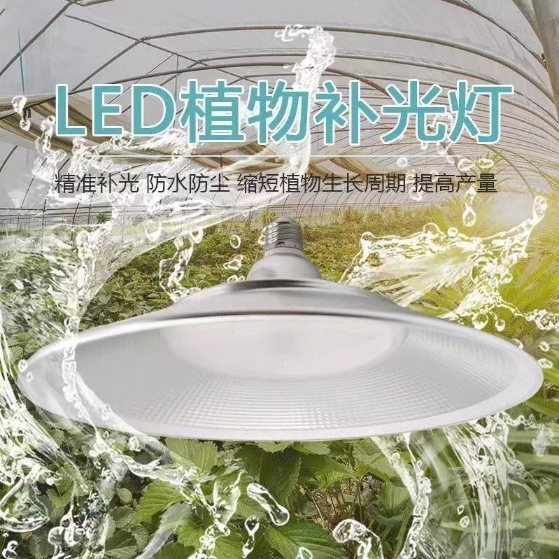 LED节能补光灯：大棚草莓变甜的秘密武器！