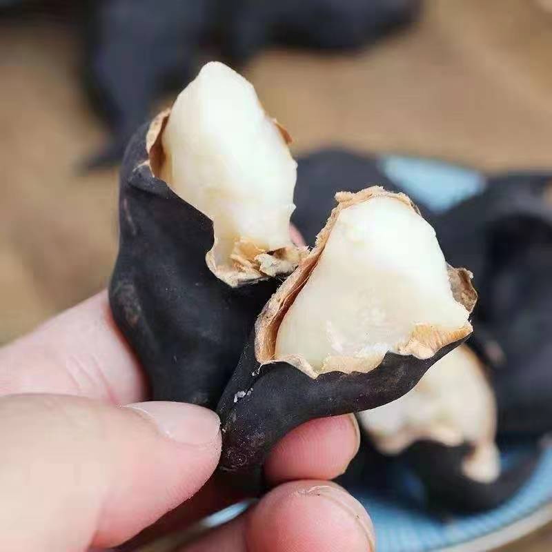 2025新鲜菱角：洪湖现摘鲜嫩，当季水果蔬菜的新宠儿！