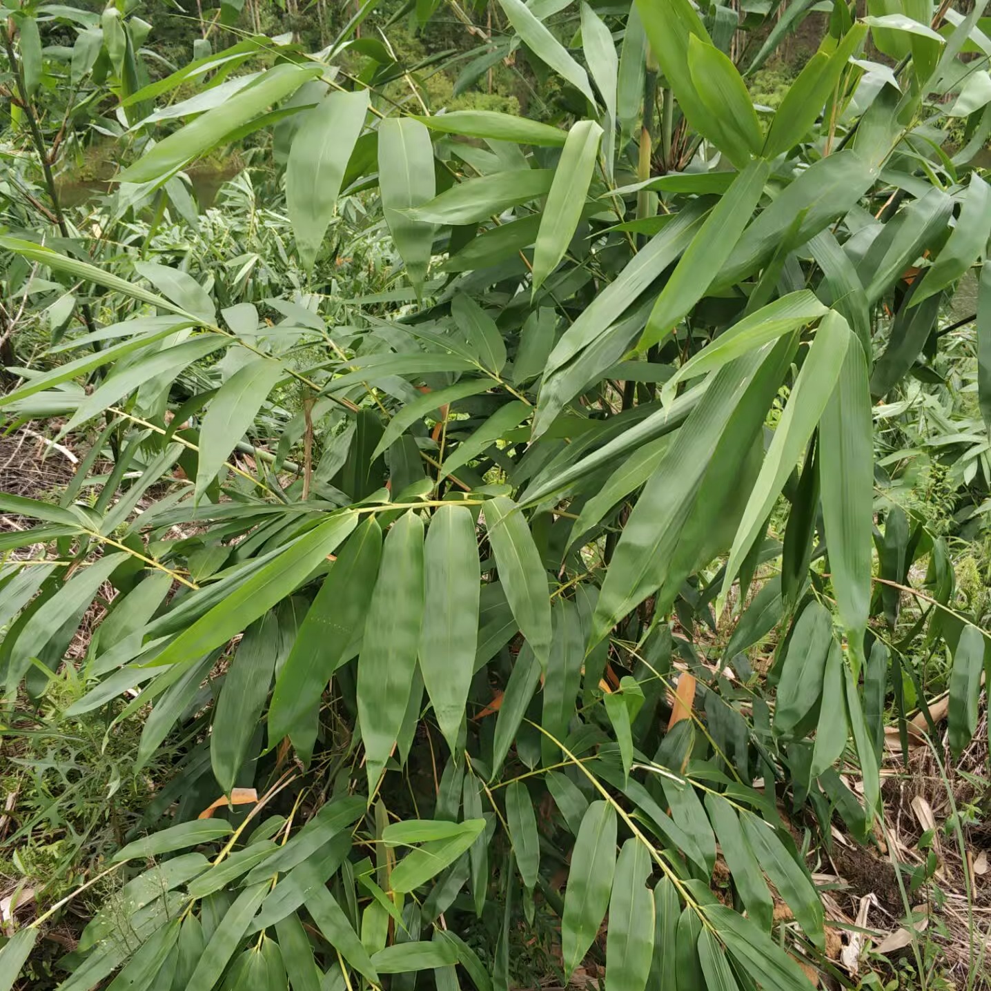 辽宁五灵山：宝藏级自然秘境，治愈你的疲惫灵魂！