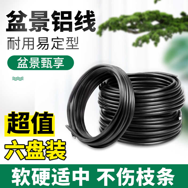 盆景大师的秘密武器：金枝玉叶与铁丝支架，打造你的专属绿洲！