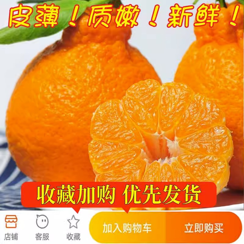 正宗四川耙耙柑：当季丑橘，10斤新鲜礼盒，包邮到家，你还在等什么？