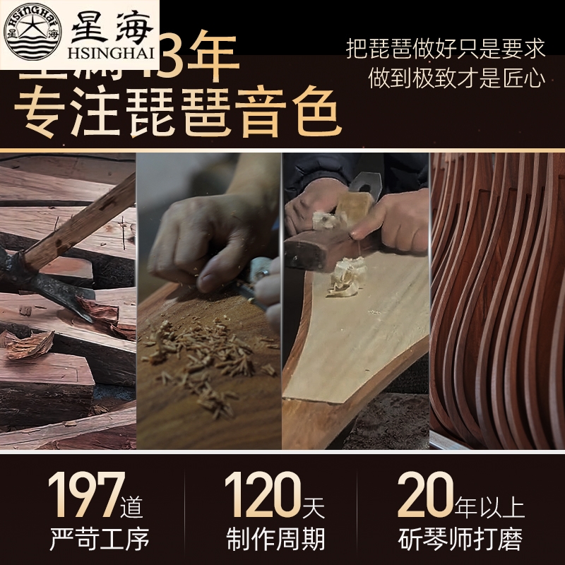 星海花梨木琵琶：初学者的音乐之旅，从入门到考级，轻松驾驭！