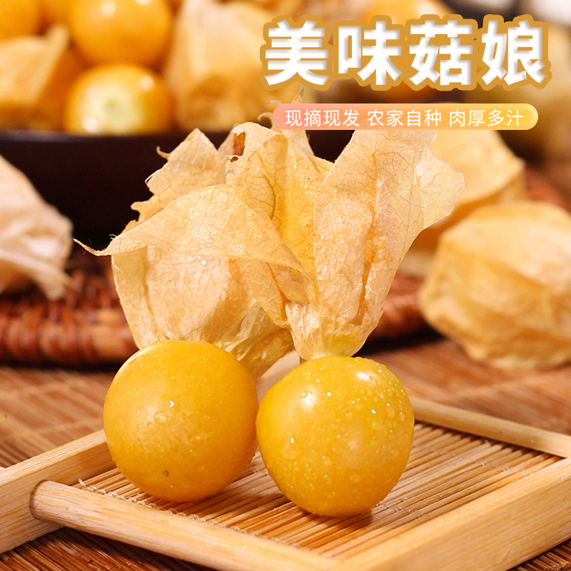 现货东北姑娘果当季灯笼果，5斤装新鲜直达，尝鲜必备！
