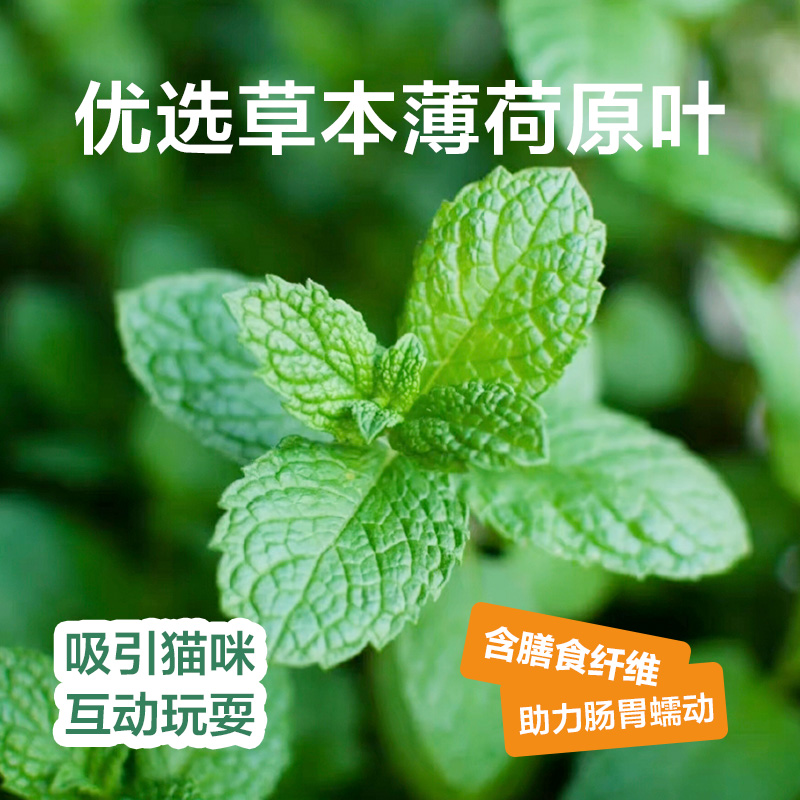 网易天成严选猫薄荷饼干&amp;猫草粒：铲屎官必备，猫咪最爱的零食大揭秘！