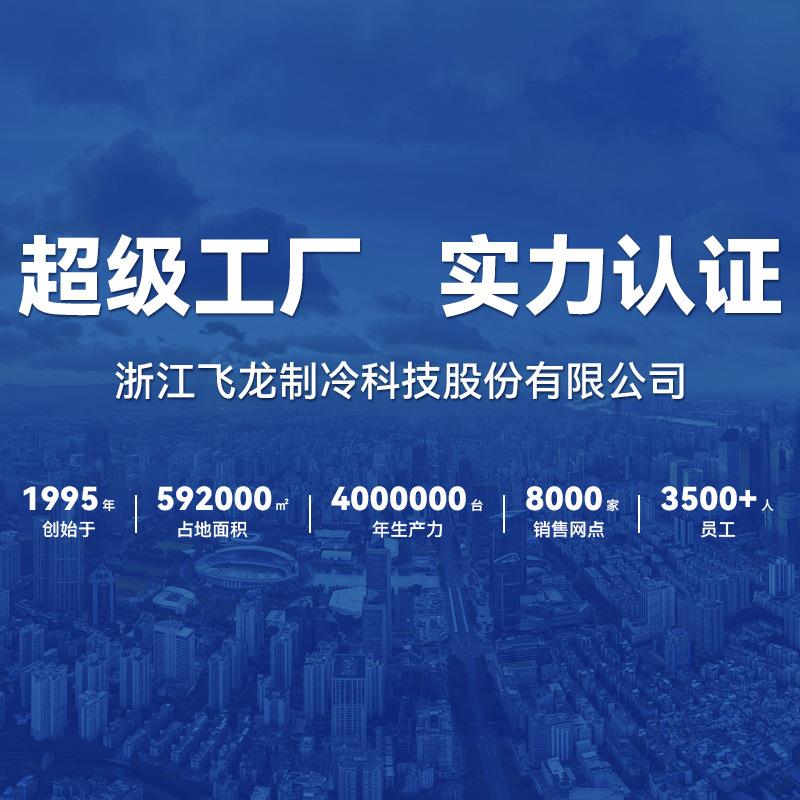 志高50-172升小冰箱：租房宿舍必备，迷你双门电冰箱的全面解析
