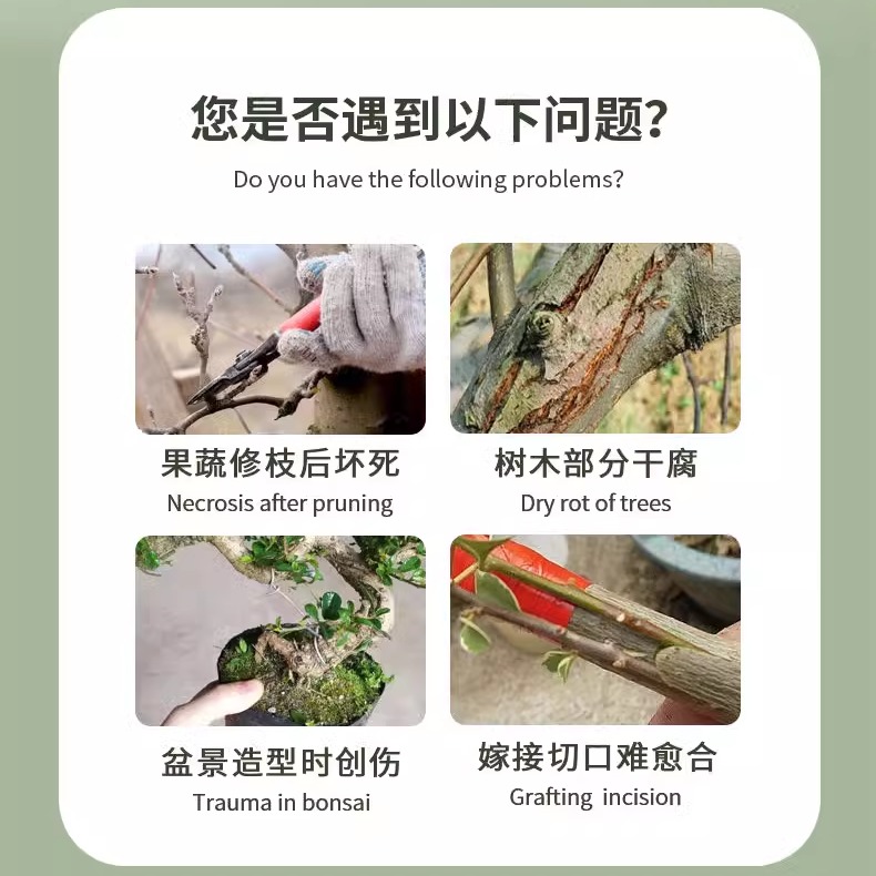 果树嫁接神器来了！新手也能轻松上手，种树效率翻倍