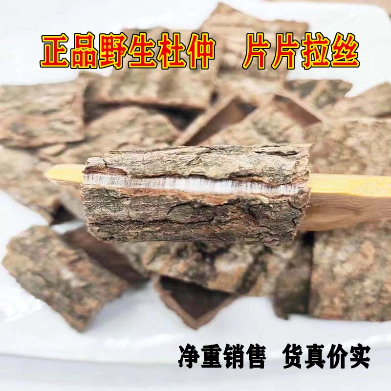 深山老树杜仲干货：揭秘古老森林里的养生秘宝！