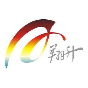 翔升P45T主板BIOS 10H版For DOS10H