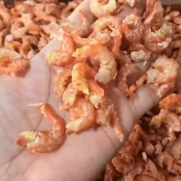 福建特产特大号虾仁干货：开启味蕾的新鲜之旅！