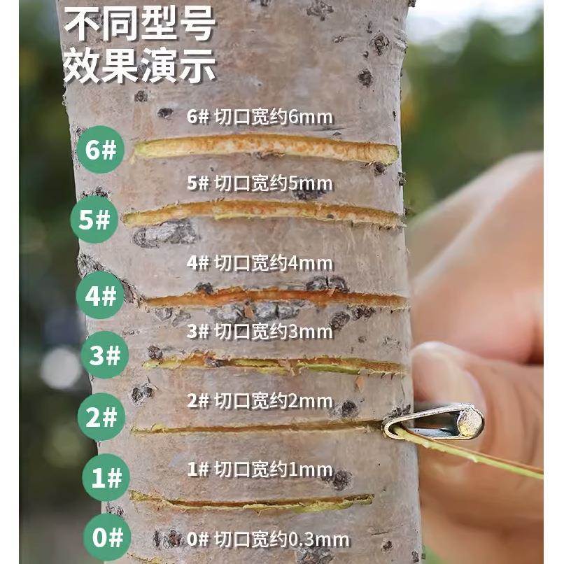 果树环割神器，轻松搞定蜜柚、苹果、梨树环割！