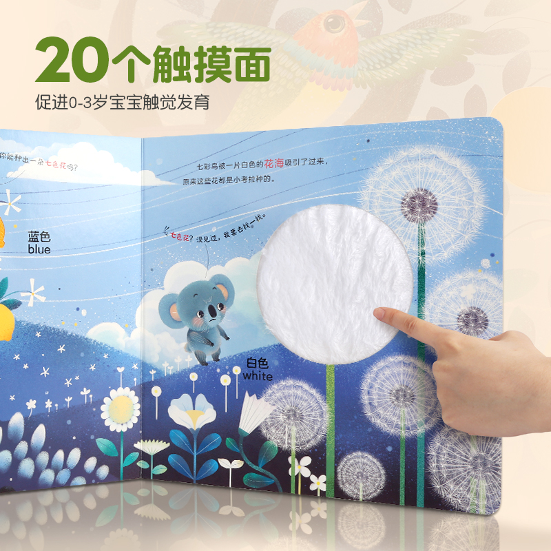 考拉和树懒谁聪明？别再傻傻分不清了！
