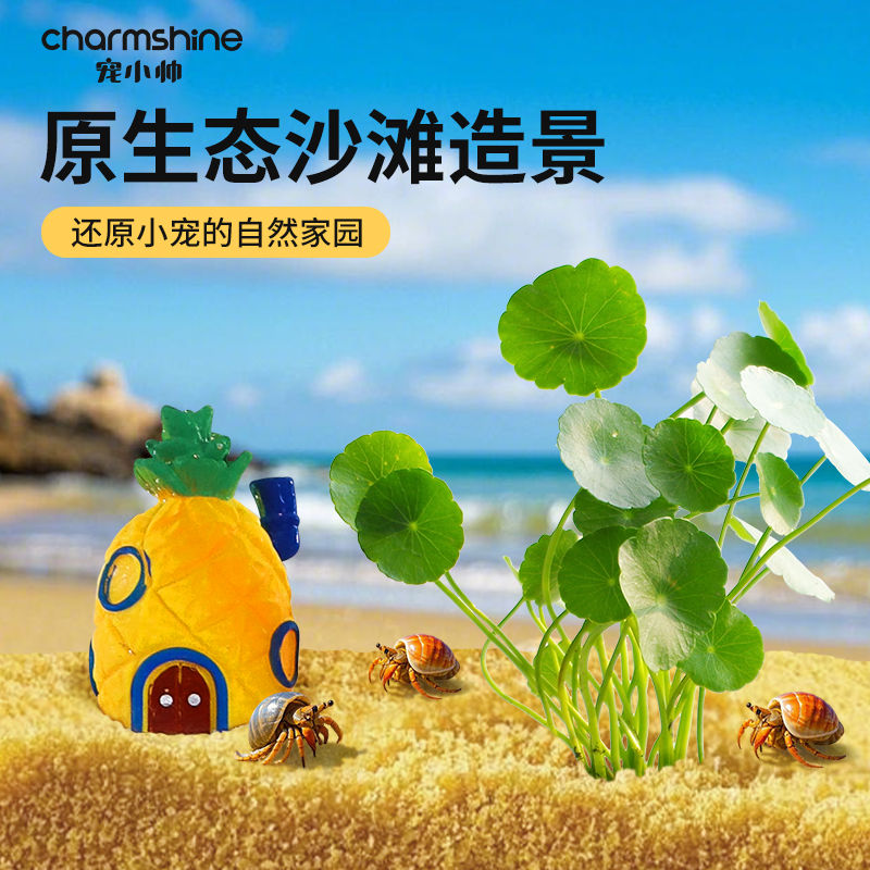 贝桥L0212：你的桌面插座新革命，解锁办公桌新玩法！