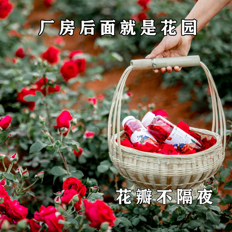 云南玫瑰花醋荞麦醋：醉人的味蕾之旅，解锁植物饮料新风尚！