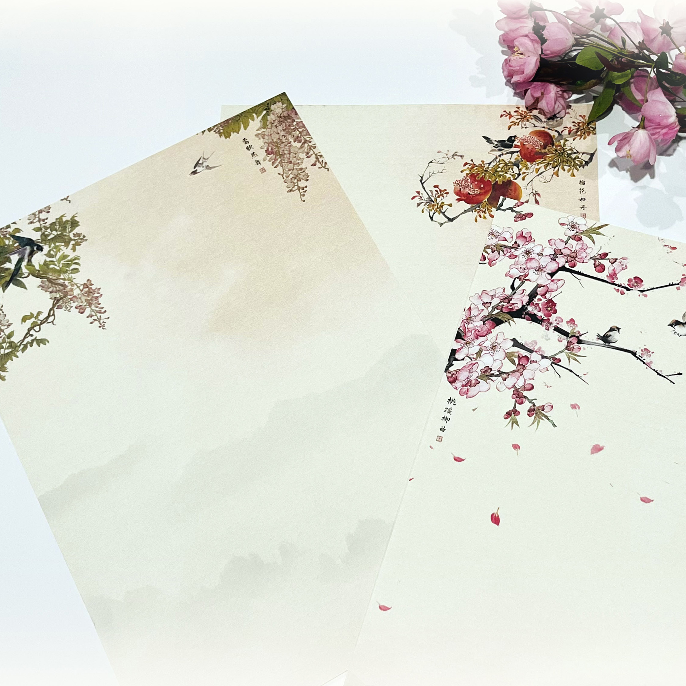 纸张大全：从普通打印纸到复古信纸，哪种才是你的菜？